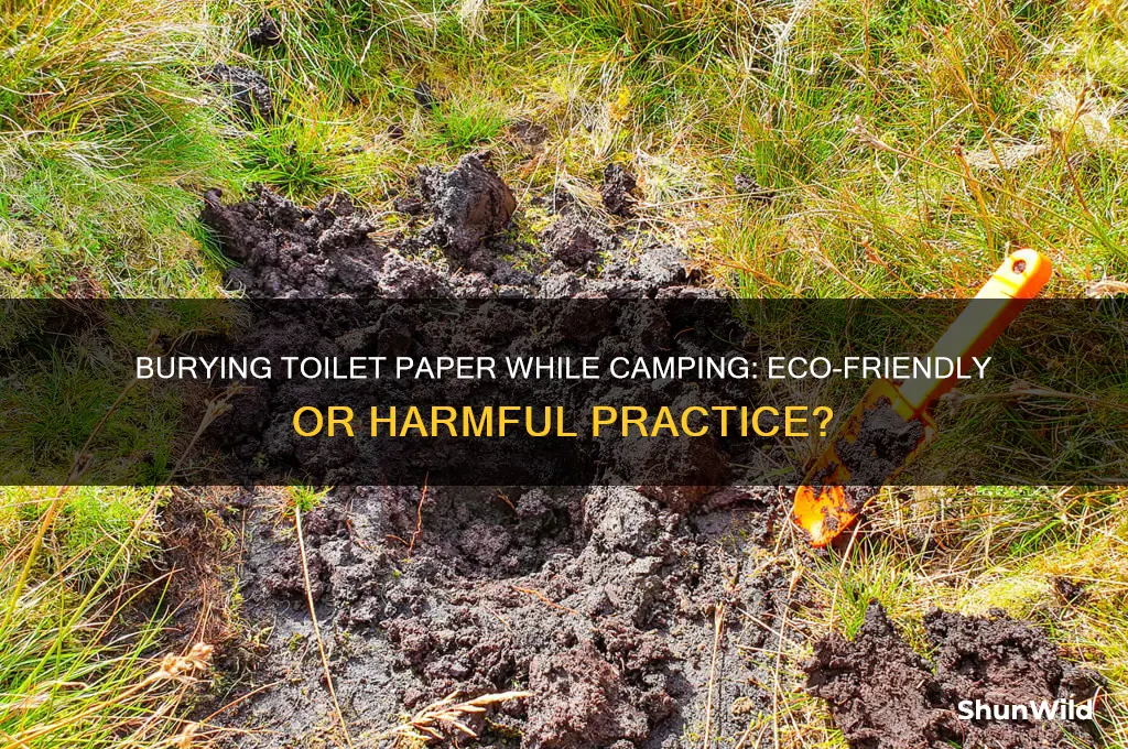 can i bury toilet paper when camping