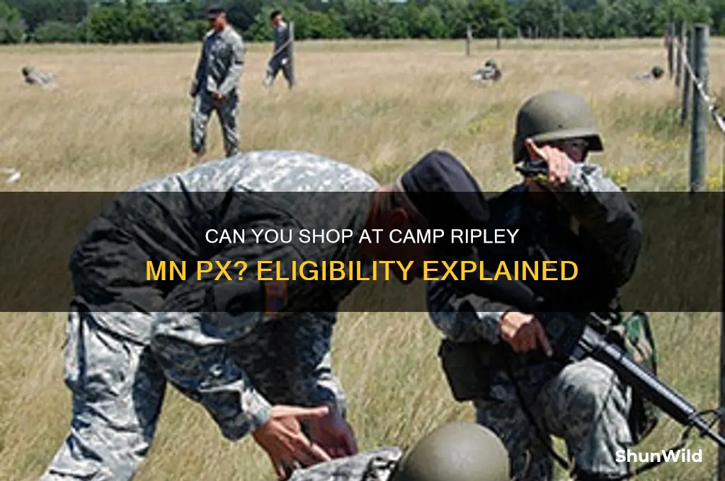 can i buy fron the camp riply minn px