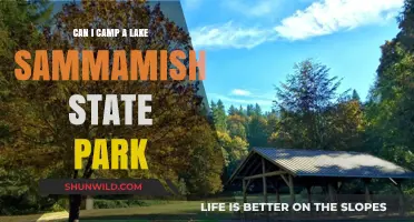 Camping at Lake Sammamish State Park: A Complete Guide