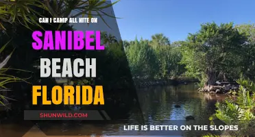 Camping on Sanibel Beach: Overnight Rules and Tips for Visitors
