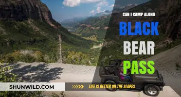 Camping Along Black Bear Pass: Tips, Safety, and What to Expect