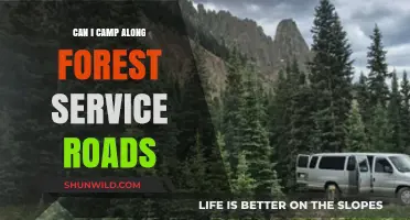 Camping Along Forest Service Roads: Rules, Tips, and Best Practices
