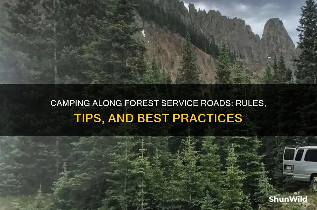 can i camp along forest service roads