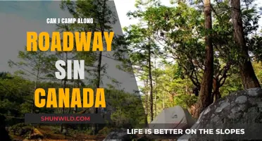 Camping Along Canadian Roadways: Legalities, Safety, and Best Practices