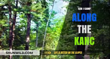 Camping Along the Kancamagus: Tips, Rules, and Best Spots