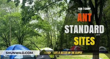 Can You Camp at Standard Sites? A Beginner's Guide to Camping