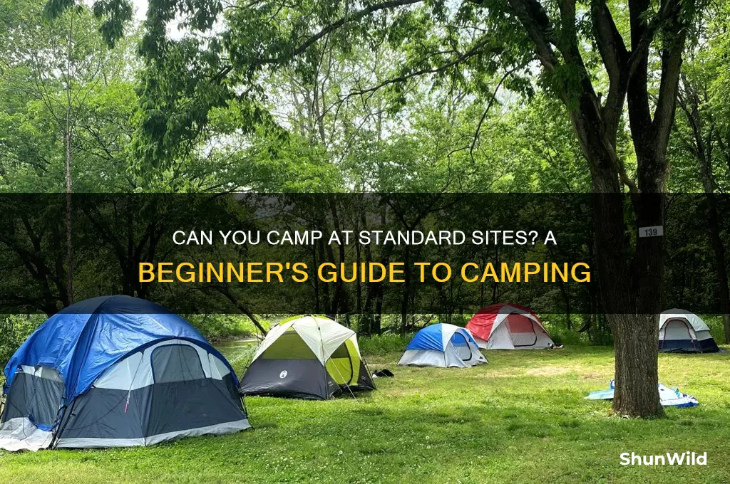 can i camp ant standard sites