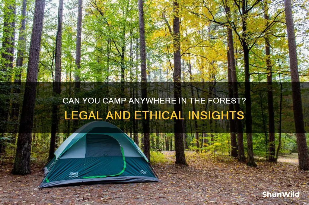 can i camp anywere in the forest