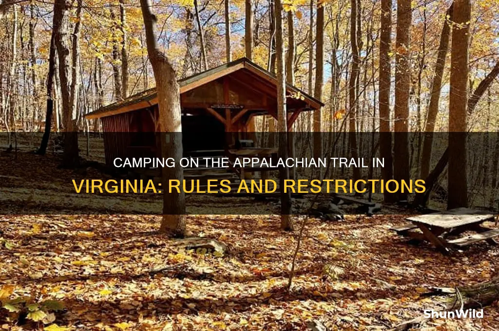 can i camp anywhere i want on appalachian trail virginia