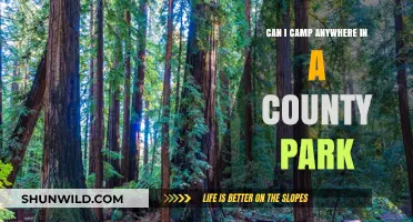 Camping in County Parks: Rules, Restrictions, and Best Practices