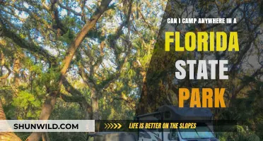Camping in Florida State Parks: Rules, Locations, and Tips