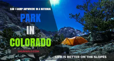 Camping in Colorado's National Parks: Rules, Locations, and Tips