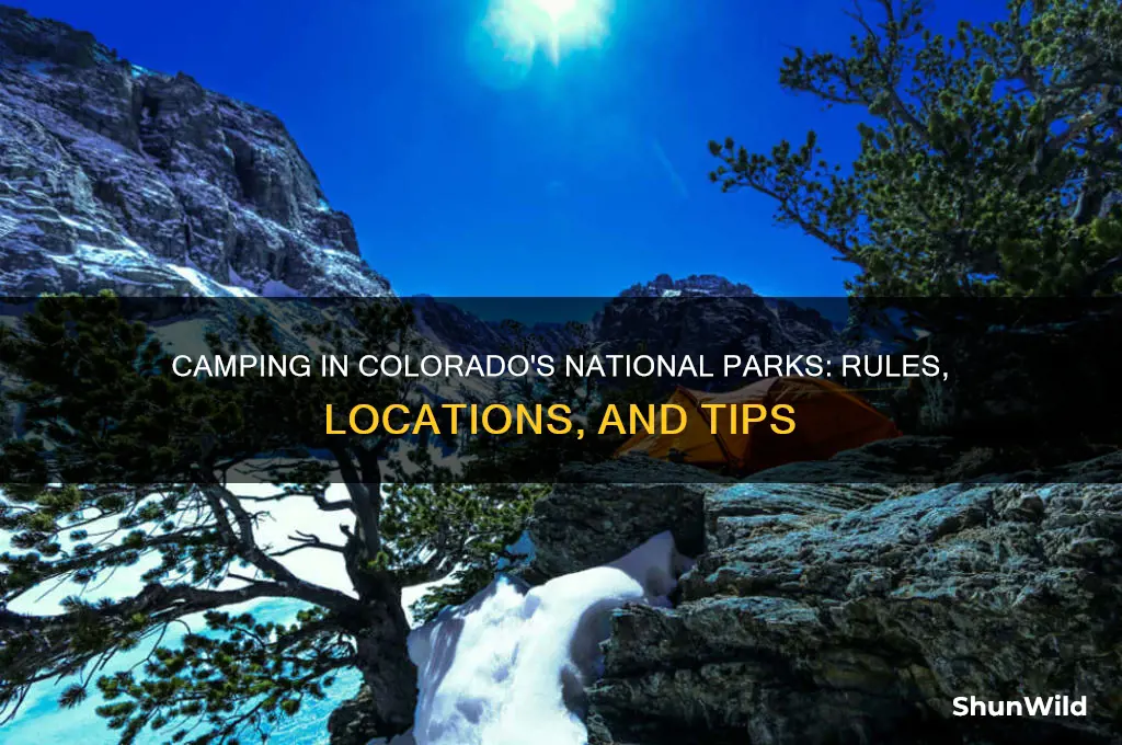 can i camp anywhere in a national park in colorado