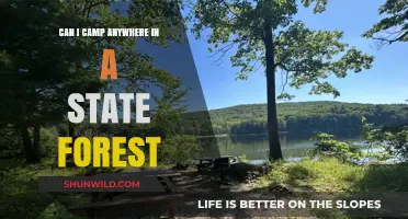 Camping in State Forests: Rules, Regulations, and Where to Pitch Your Tent