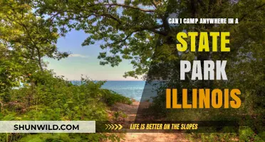 Camping in Illinois State Parks: Rules, Locations, and Tips
