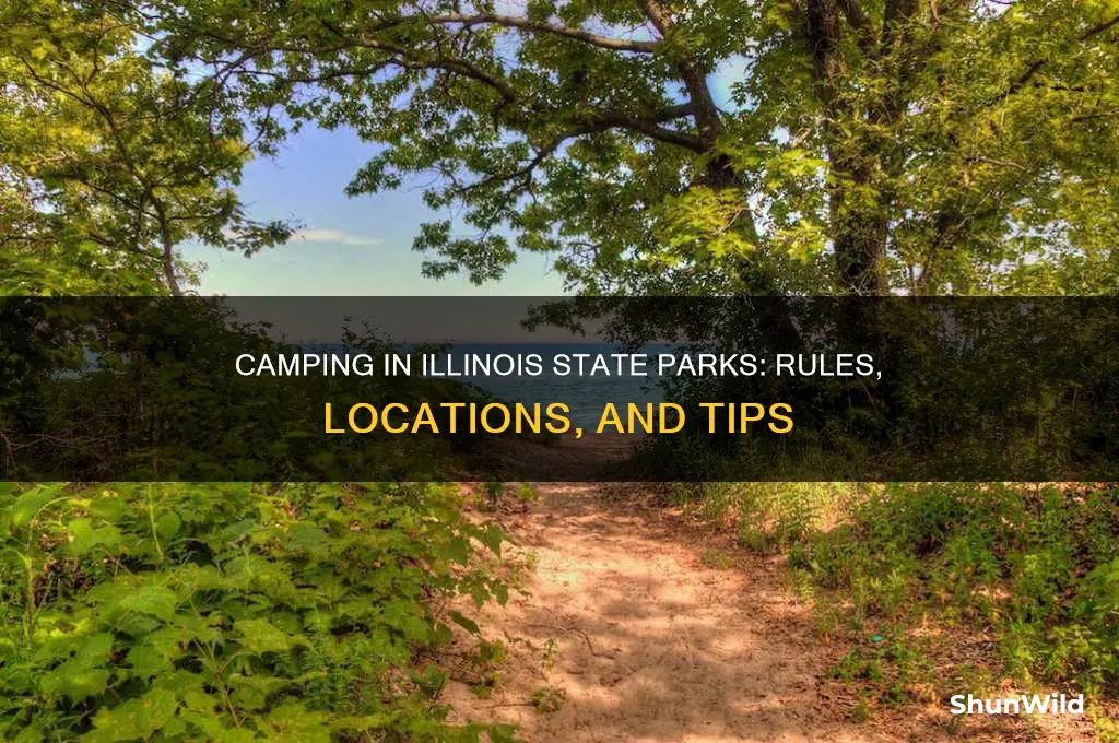 can i camp anywhere in a state park illinois