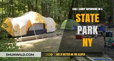 Camping in NY State Parks: Rules, Locations, and Tips