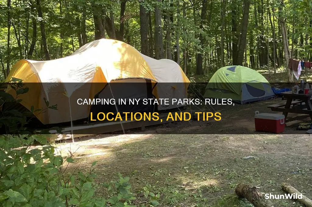can i camp anywhere in a state park ny