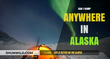Exploring Alaska's Wilderness: Where Can You Legally Camp?