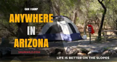 Camping in Arizona: Where Are You Allowed to Set Up?