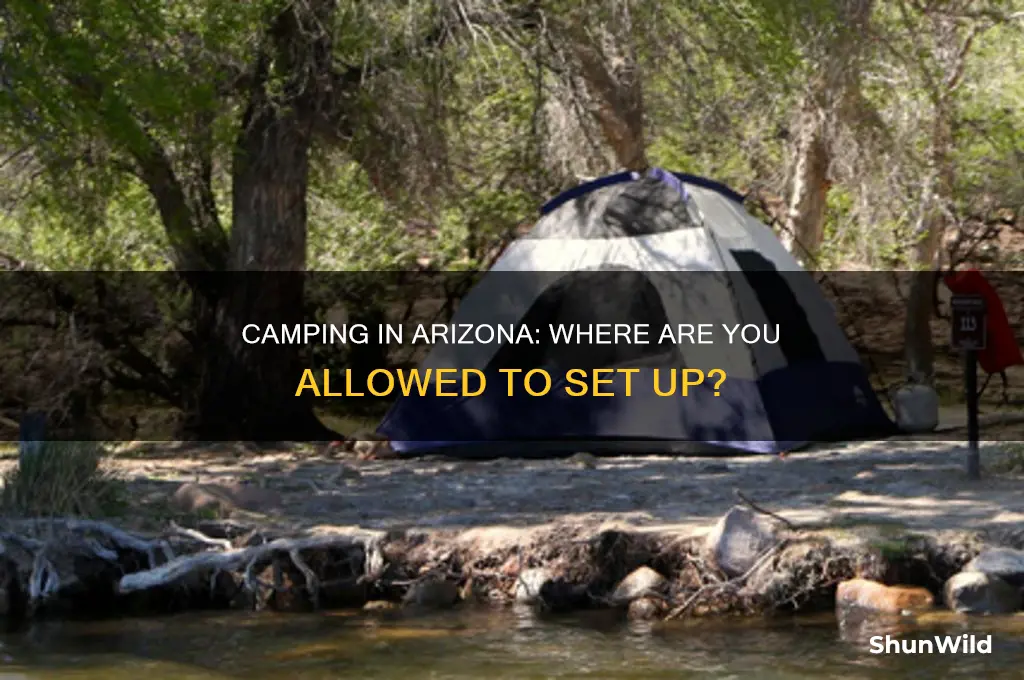 can i camp anywhere in arizona