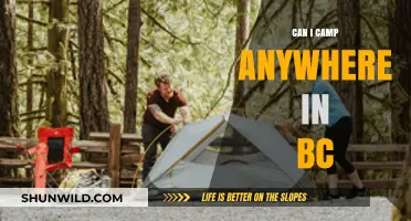 Exploring BC's Camping Freedom: Where Can You Legally Camp?