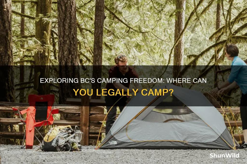 can i camp anywhere in bc