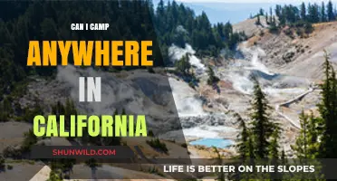 Camping in California: Where Are You Allowed to Set Up?