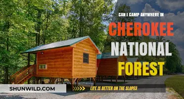 Camping in Cherokee National Forest: Rules, Locations, and Tips
