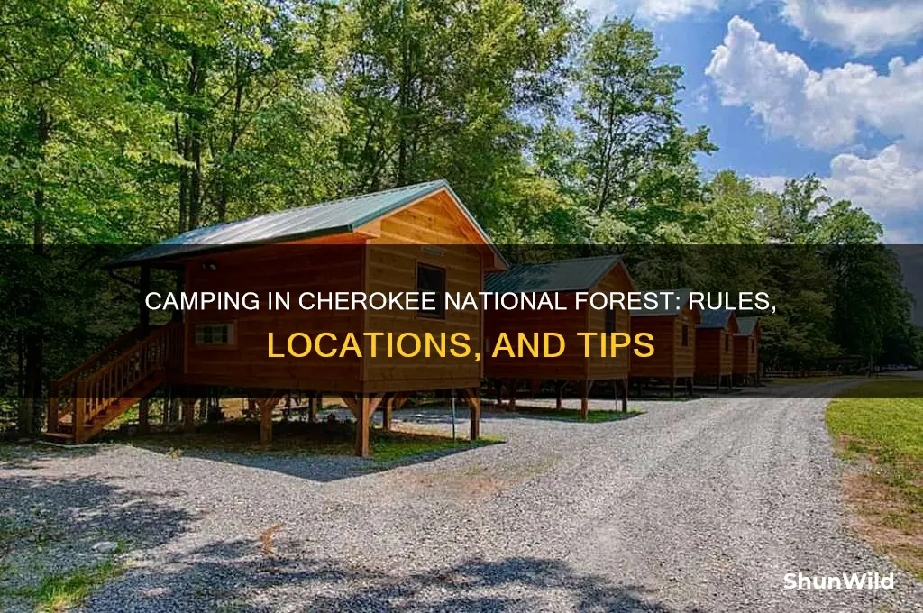 can i camp anywhere in cherokee national forest