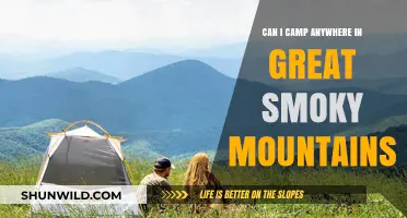 Camping in Great Smoky Mountains: Where Are You Allowed to Camp?