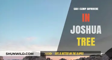 Camping in Joshua Tree: Where Are You Allowed to Set Up?