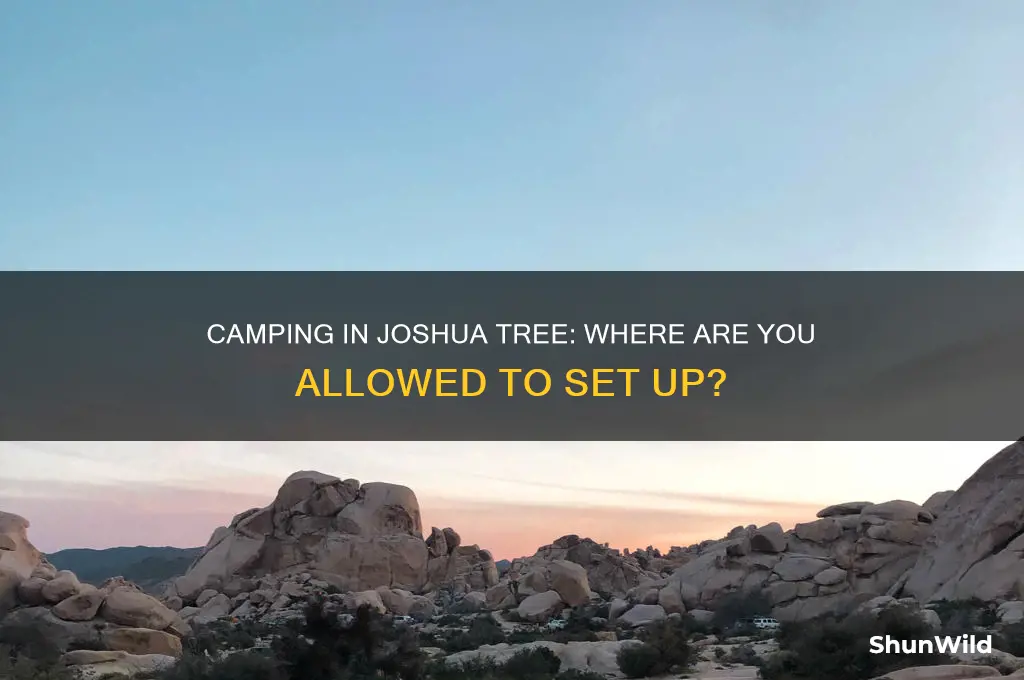can i camp anywhere in joshua tree