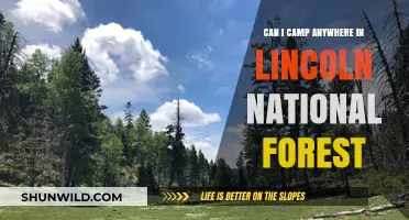 Camping in Lincoln National Forest: Rules, Locations, and Tips