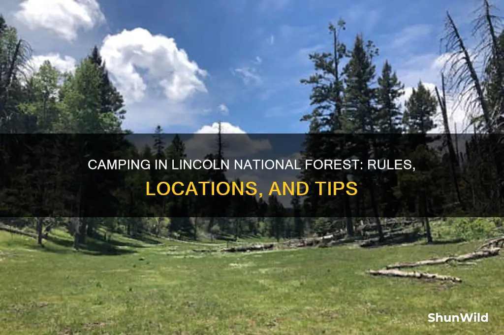 can i camp anywhere in lincoln national forest