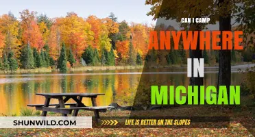 Exploring Michigan's Camping Freedom: Where Can You Pitch Your Tent?