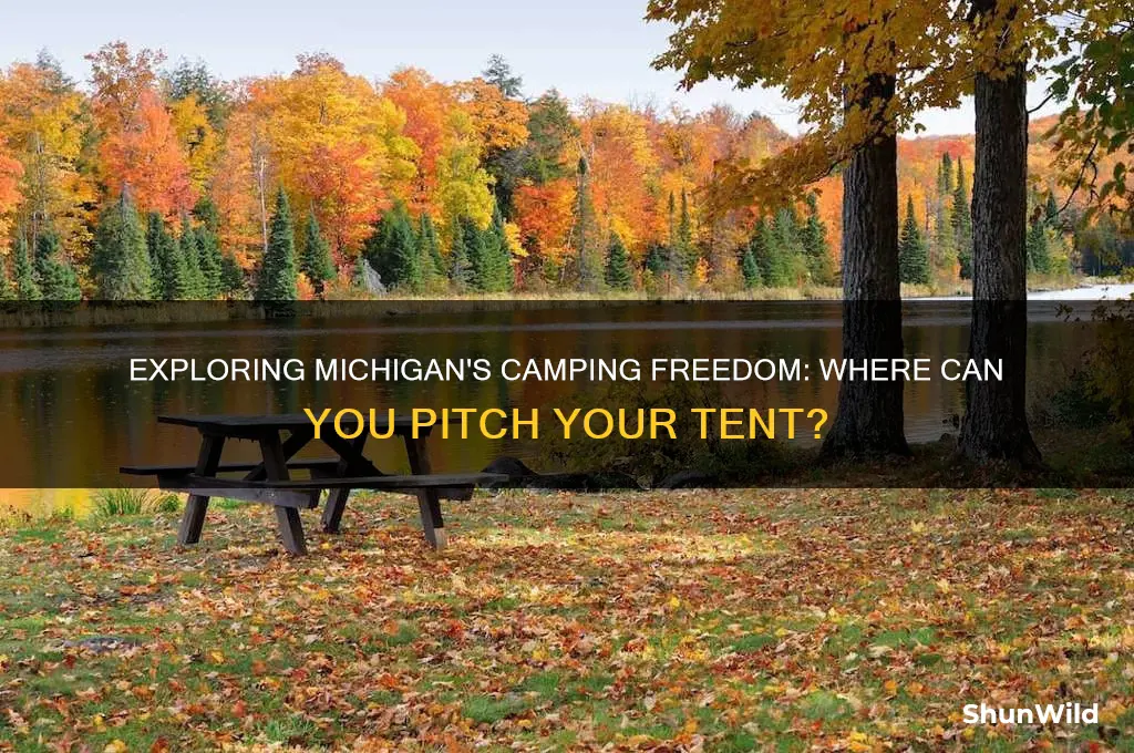 can i camp anywhere in michigan