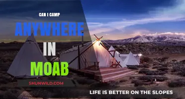 Exploring Moab: Where to Camp Legally and Responsibly in the Desert