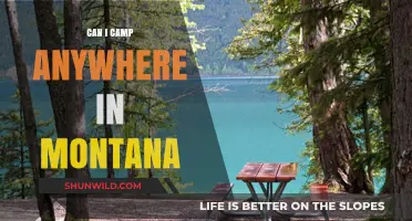 Camping in Montana: Where and How to Camp Legally