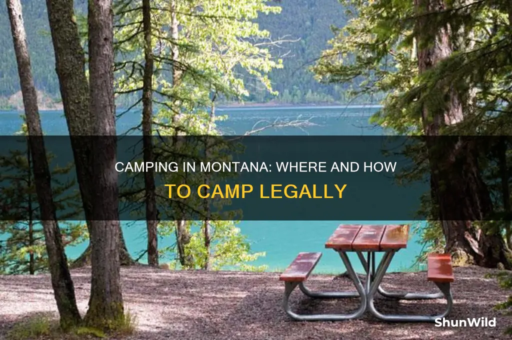 can i camp anywhere in montana