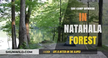 Camping in Nantahala Forest: Rules, Permits, and Best Spots to Stay