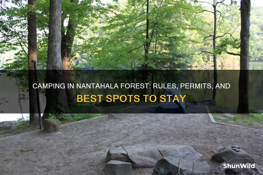 can i camp anywhere in natahala forest