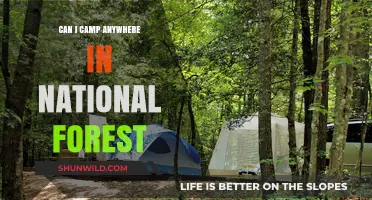 Camping in National Forests: Rules, Tips, and Best Practices