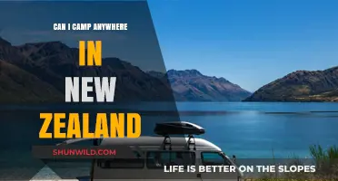 Exploring Freedom: Can You Camp Anywhere in New Zealand?