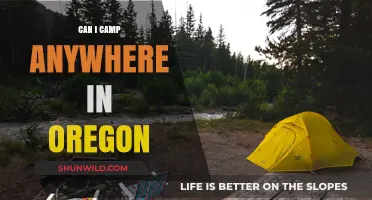 Camping in Oregon: Where Are You Allowed to Set Up?