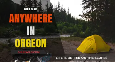 Camping in Oregon: Where Are You Allowed to Set Up?