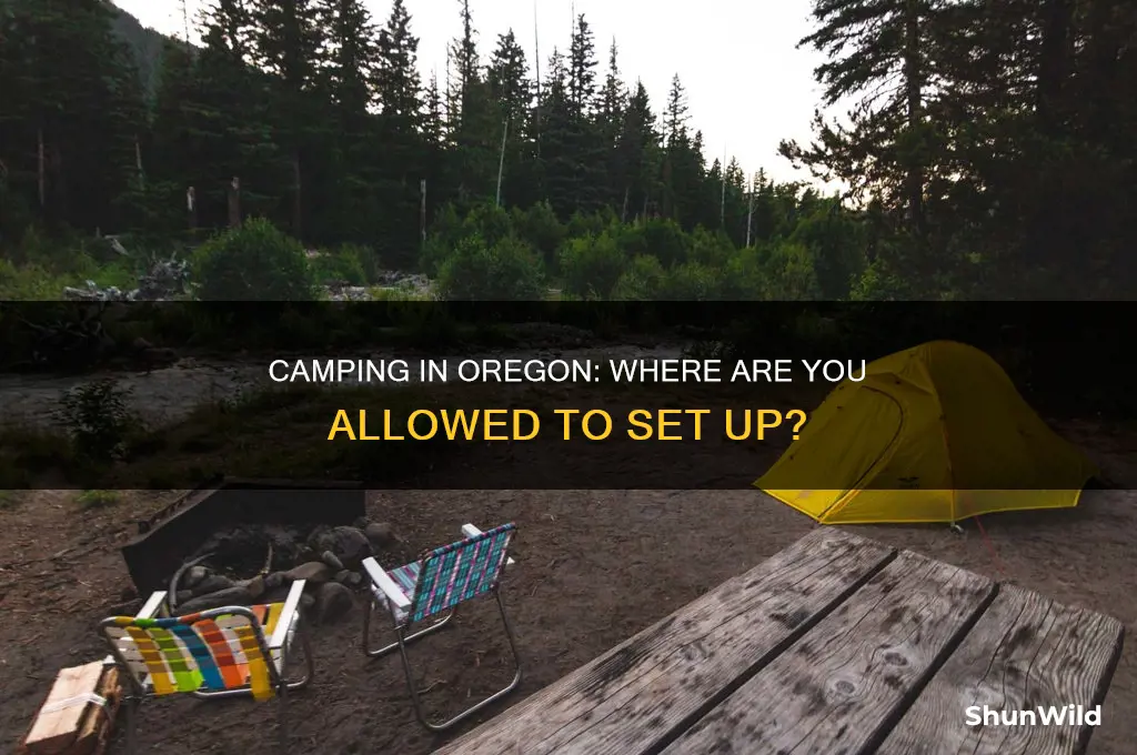 can i camp anywhere in orgeon