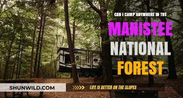 Camping in Manistee National Forest: Rules, Locations, and Tips