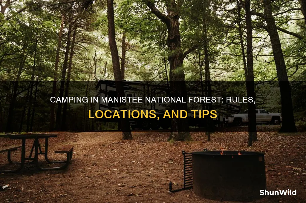 can i camp anywhere in the manistee national forest