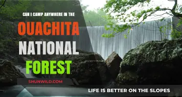 Camping in Ouachita National Forest: Where Are You Allowed?